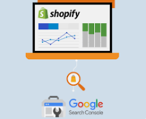 Shopify google search console